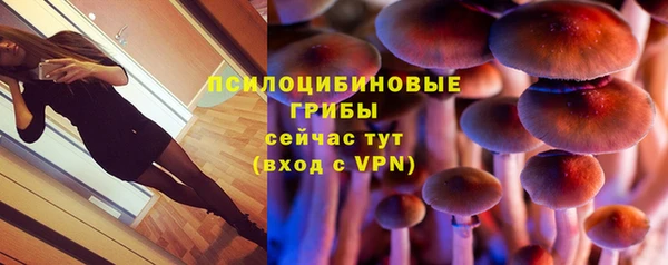 а пвп мука Армянск